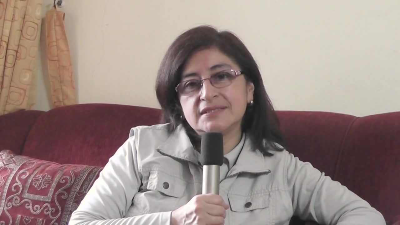 Iris Davila Ildefonso