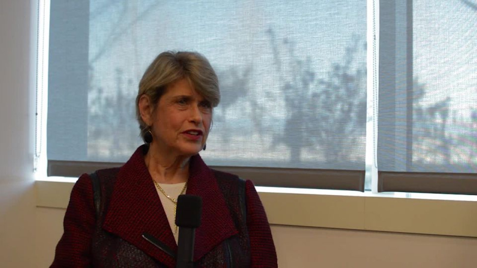 Francine Gordon CEO, Womennovation whatchado